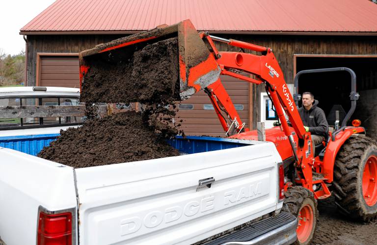 Mark Melnik delivers a load of compost into a customer’s truck bed Saturday morning at Bear Path Compost in Whately.