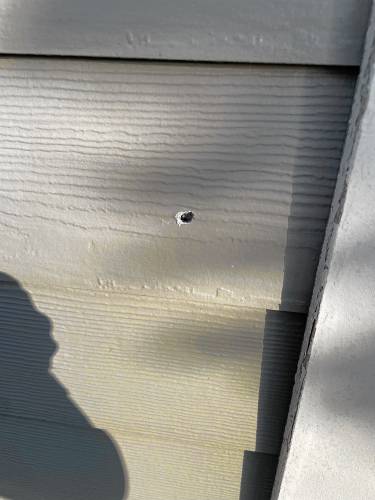 One of two bullet holes in the shed of a Belchertown home found after the March 29 incident.