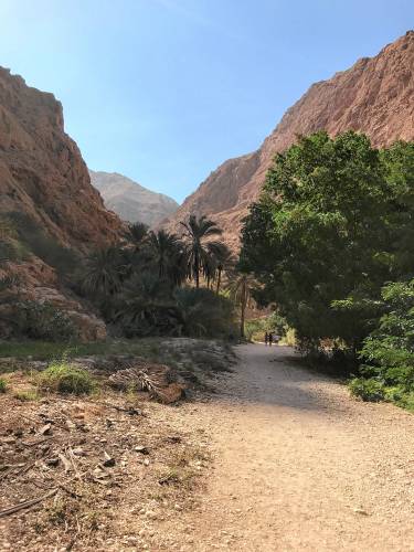 The road to Wadi al-Shab in Oman.
