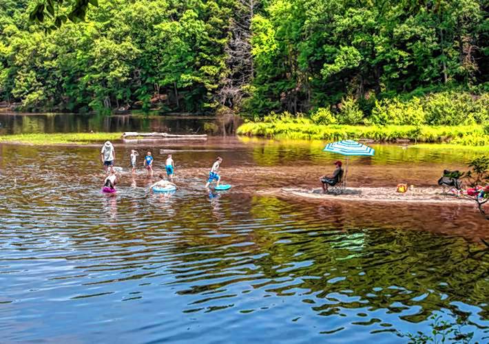 High E. coli levels prompt swimming advisory for Puffer's Pond