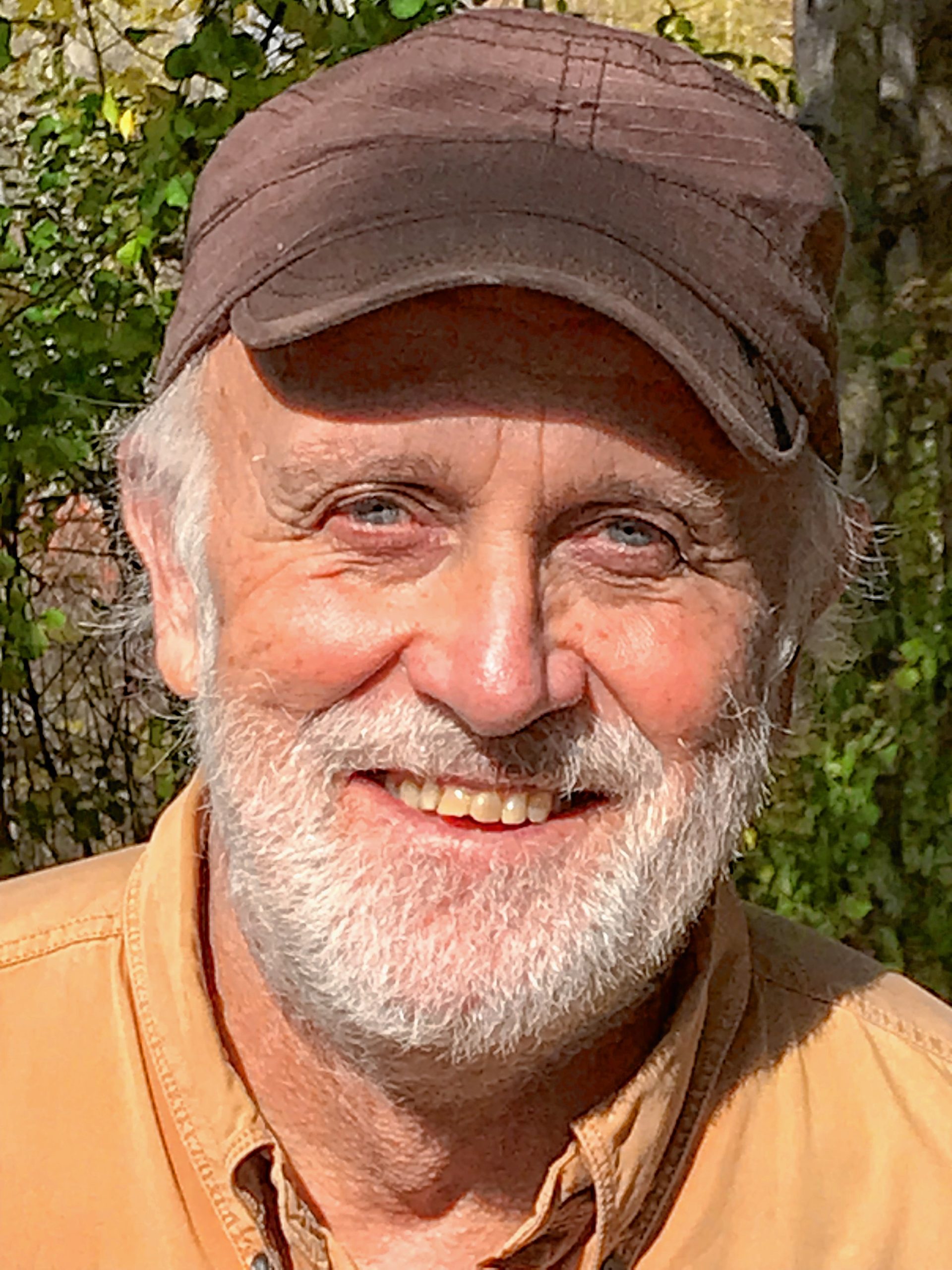 Around and About with Richard McCarthy: Rooster, wake my dreams - Daily Hampshire Gazette
