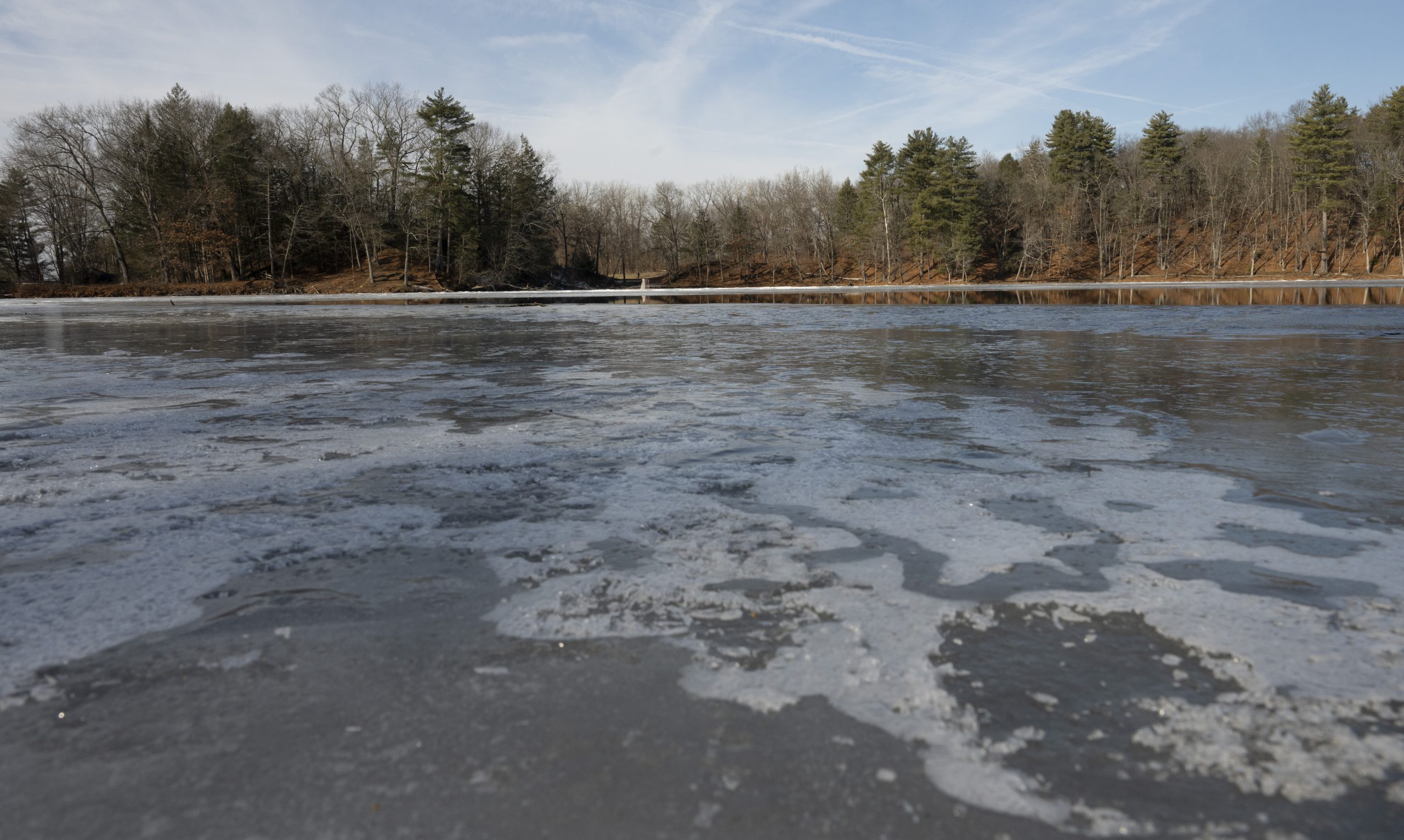 Area Briefs: Puffer’s Pond reopens for swimming