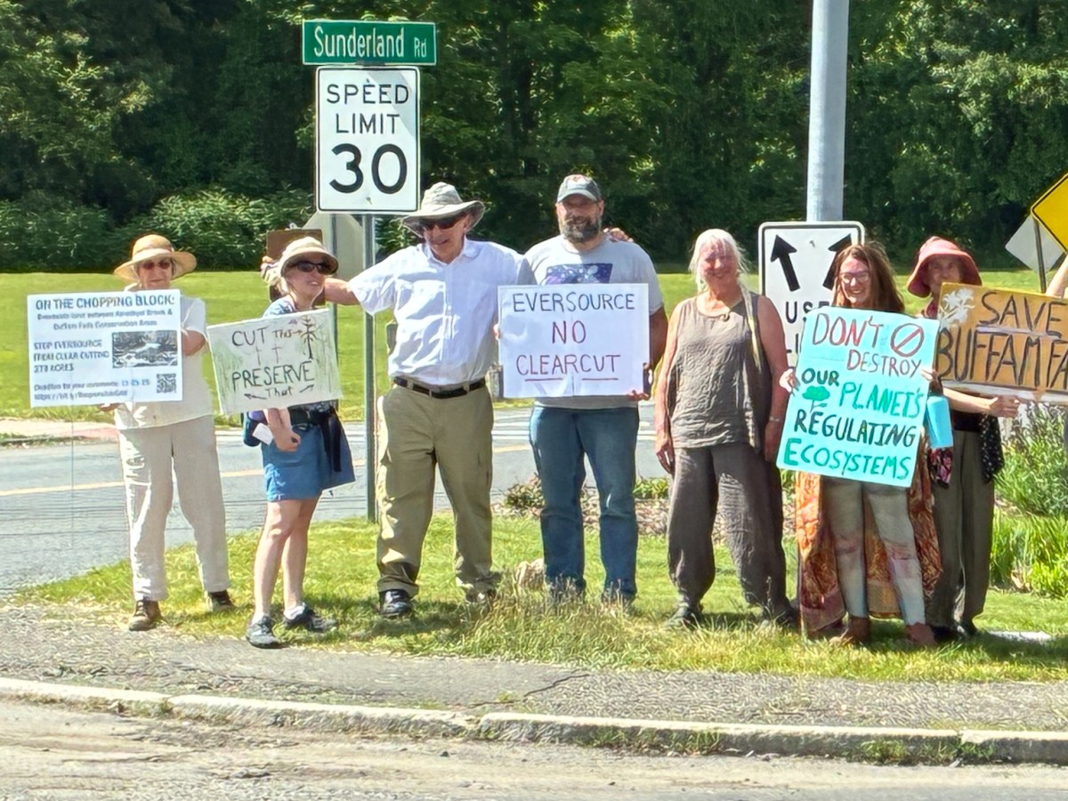 Critics pan Eversource tree-clearing plan at Amherst meeting